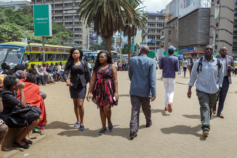 Nairobi City Sightseeing Guided Tour with Lunch at Carnivore