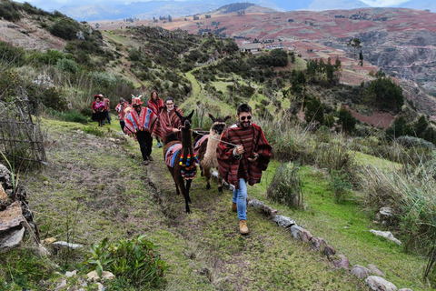 The Llamas and Alpacas Experience in Racchi Ayllo