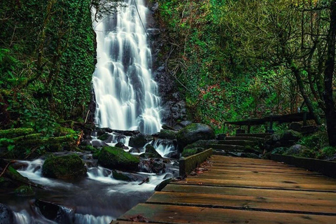 From Batumi: Mtirala National Park Private Tour with BBQ