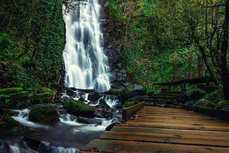 From Batumi: Mtirala National Park Private Tour with BBQ