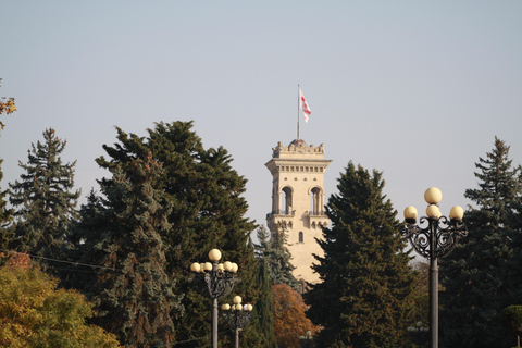 Vanuit Tbilisi: Gori per trein - Stalinmuseum en verborgen parelsPrivé-ervaring