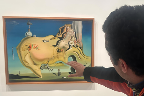 Madrid: Picasso Experience Reina Sofía Museum Guided Tour English Tour