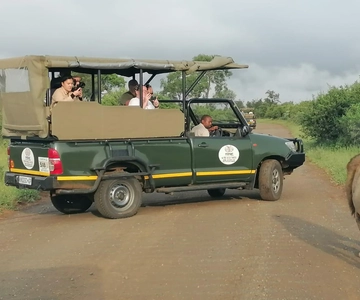 Kruger Morning Game Drive från Marloth Park & Komatipoort
