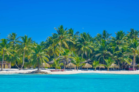 Santo Domingo to Saona: A Tropical Adventure
