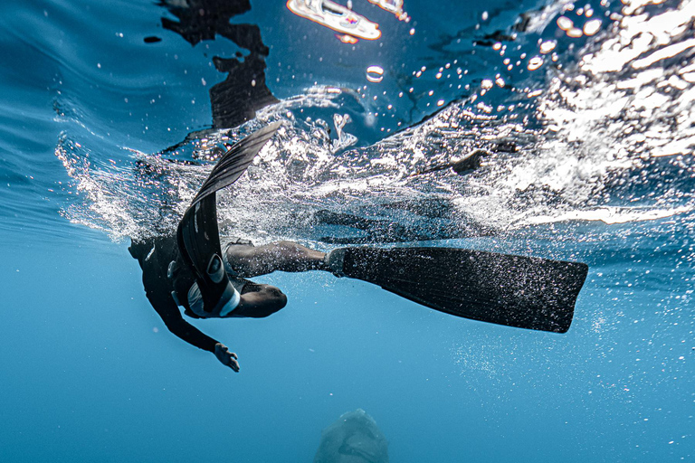 Moorea Shared Boat Tour Whale Swimming and Snorkeling Moorea 4H Shared Boat Tour Whale Swimming and Snorkeling