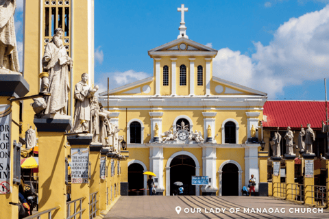 Cebu: Wildlife & Adventure Safari Experience