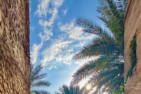 Nizwa, Al Hamra & Misfat Al Abriyeen: Guided tour in German.