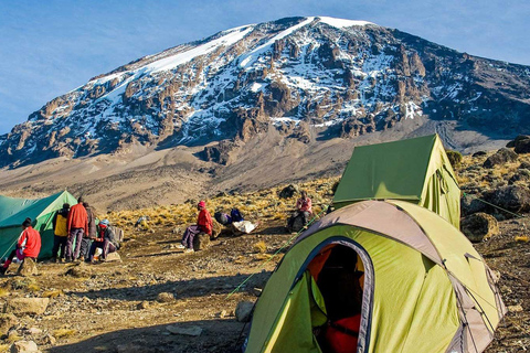 Beklimming Mt.Kilimanjaro via Machame Route 6 Dagen