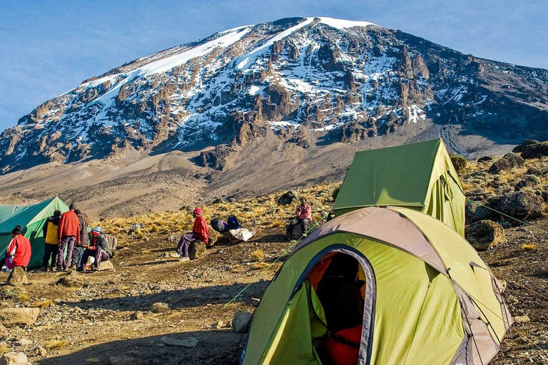 Beklimming Mt.Kilimanjaro via Machame Route 6 Dagen