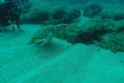 Creta: Experiencia de Buceo Guiado en Chania para Buceadores Certificados