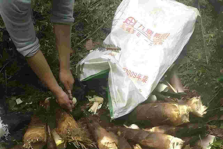 1 Day Guilin Tour: Village Visit, Waterfall Viewing, Hiking