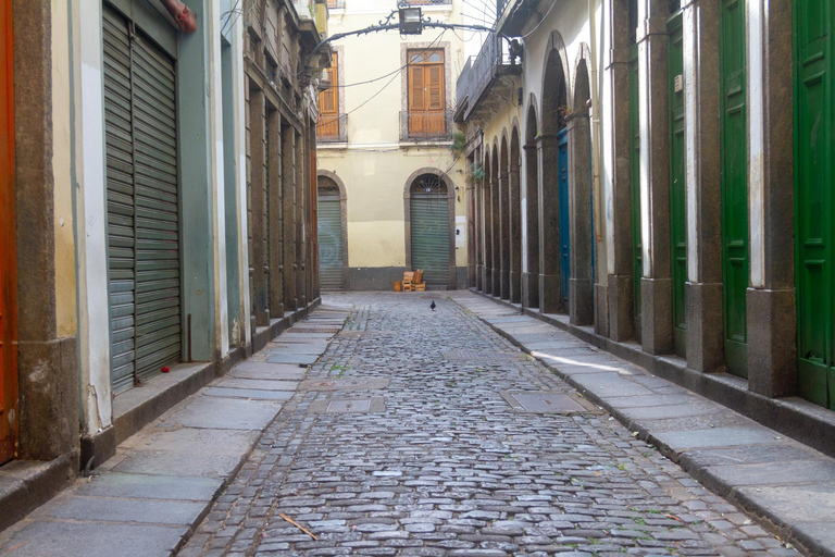 Wycieczka na ląd z portu w Rio de Janeiro: Wycieczka do centrum