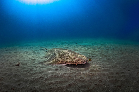 BUCEADOR AVANZADO PADI DE AGUAS ABIERTAS