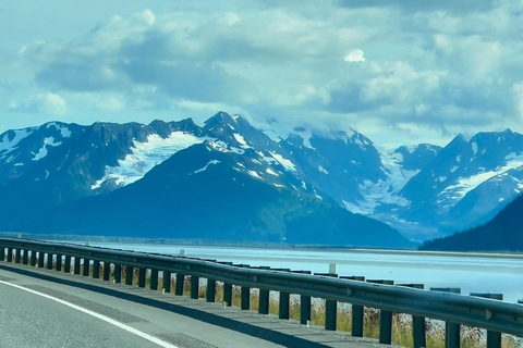 Anchorage: Glacier & Wildlife Discovery Tour (7-hours)