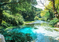 Gita all-in-one,Butrint Nat Park-Blue Eye-Lekuresi Castle - Hizvo
