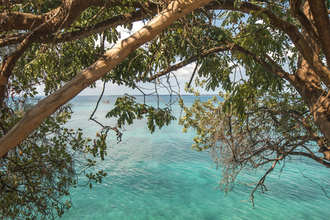 Zanzibar: Prison Island & Nakupenda Boat Trip + Swahili BBQ Prison Island & Nakupenda WITHOUT transfer