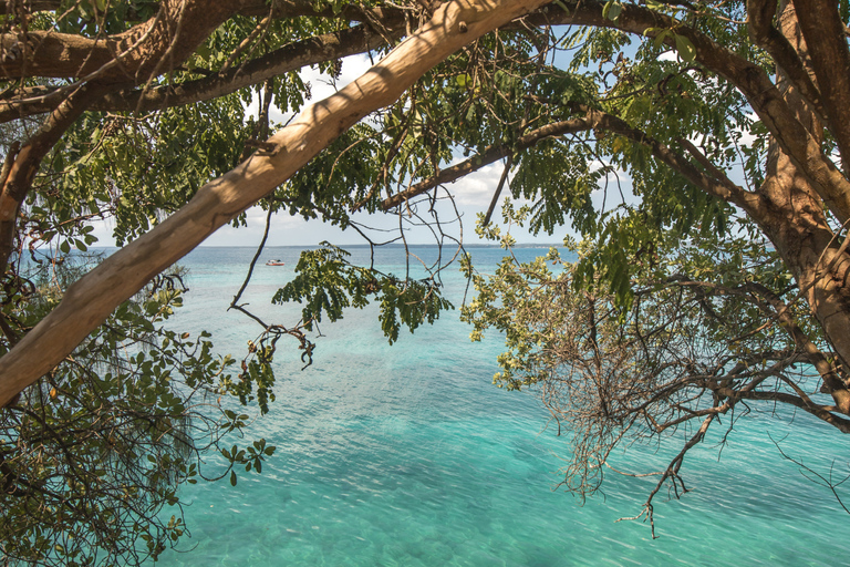 Zanzibar: Prison Island & Nakupenda Boat Trip + Swahili BBQ Prison Island & Nakupenda WITHOUT transfer