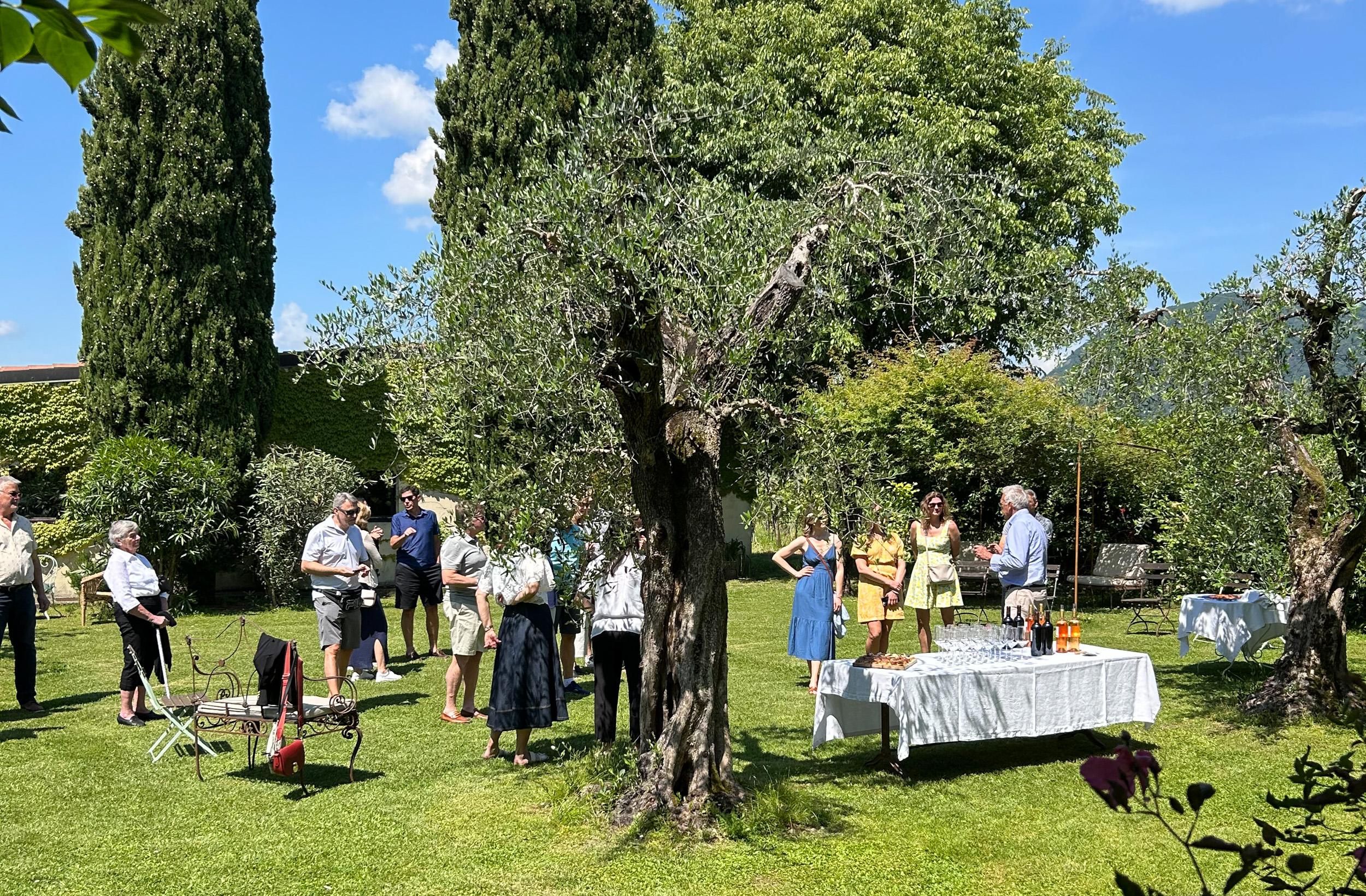 San Felice del Benaco: Tour durch die Weinberge mit Weinverkostung