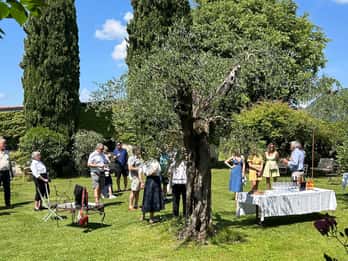 San Felice del Benaco: Vineyard Tour with Wine Tasting