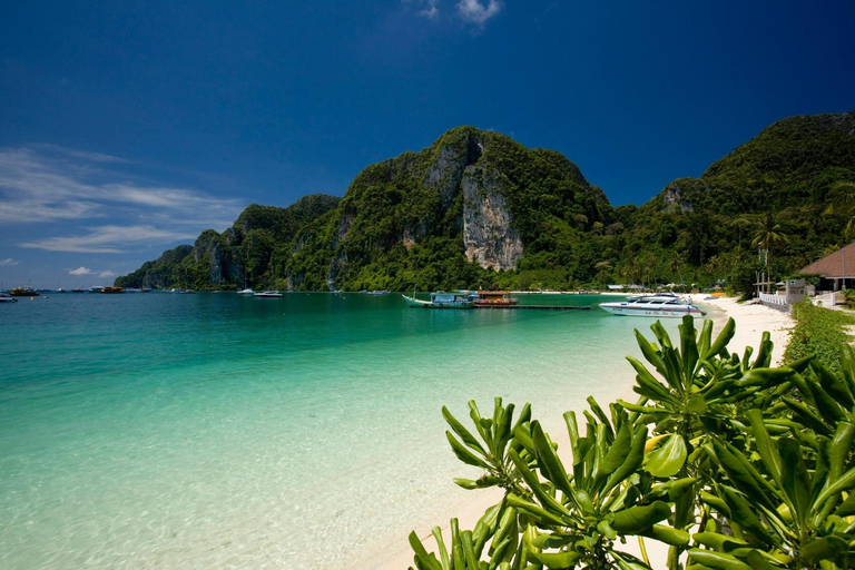 Desde Phuket : Islas Phi Phi en cruceroIslas Phi Phi en crucero-Clase estándar