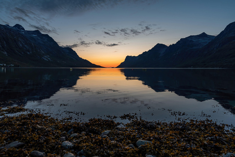 Tromsø: Midnight Fjord Tour