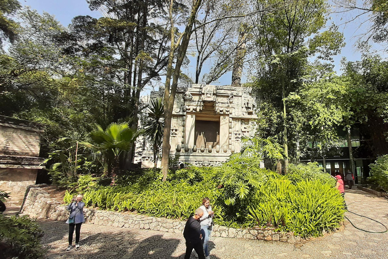 Mexico City, Anthropology Museum Tour Summary