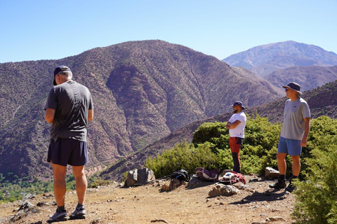 Z Marrakeszu: Atlas Mountains Summit Trek