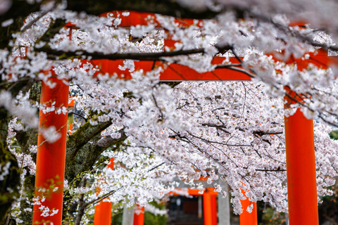 Tokyo: Mount Fuji Private Customizable Tour In Luxury Van