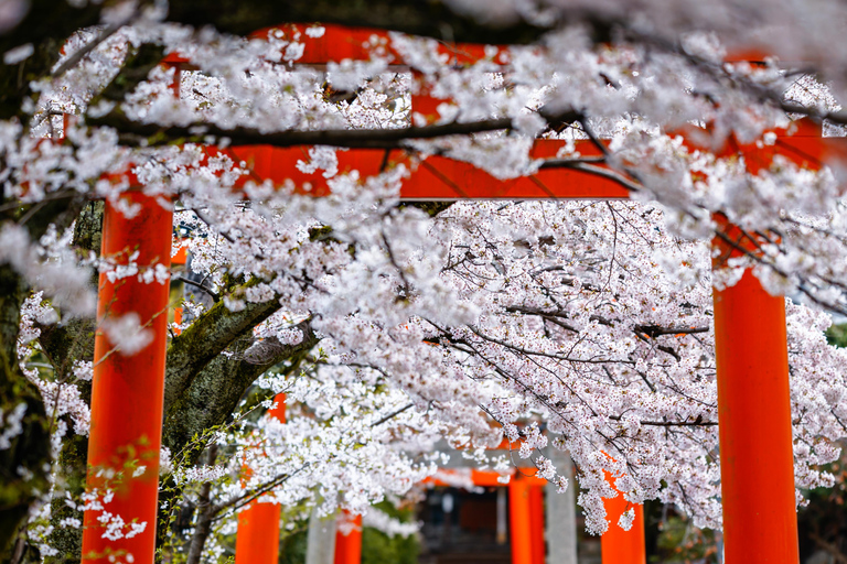 Tokyo: Mount Fuji Private Customizable Tour In Luxury Van