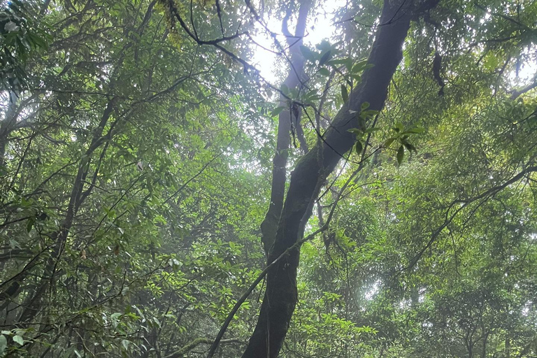 Kathmandu: 3-Day Shivapuri Wellness & Recreation Package