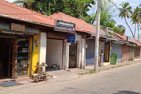 Kochi Tuk-Tuk Tour avec prise en charge à partir des bateaux de croisière