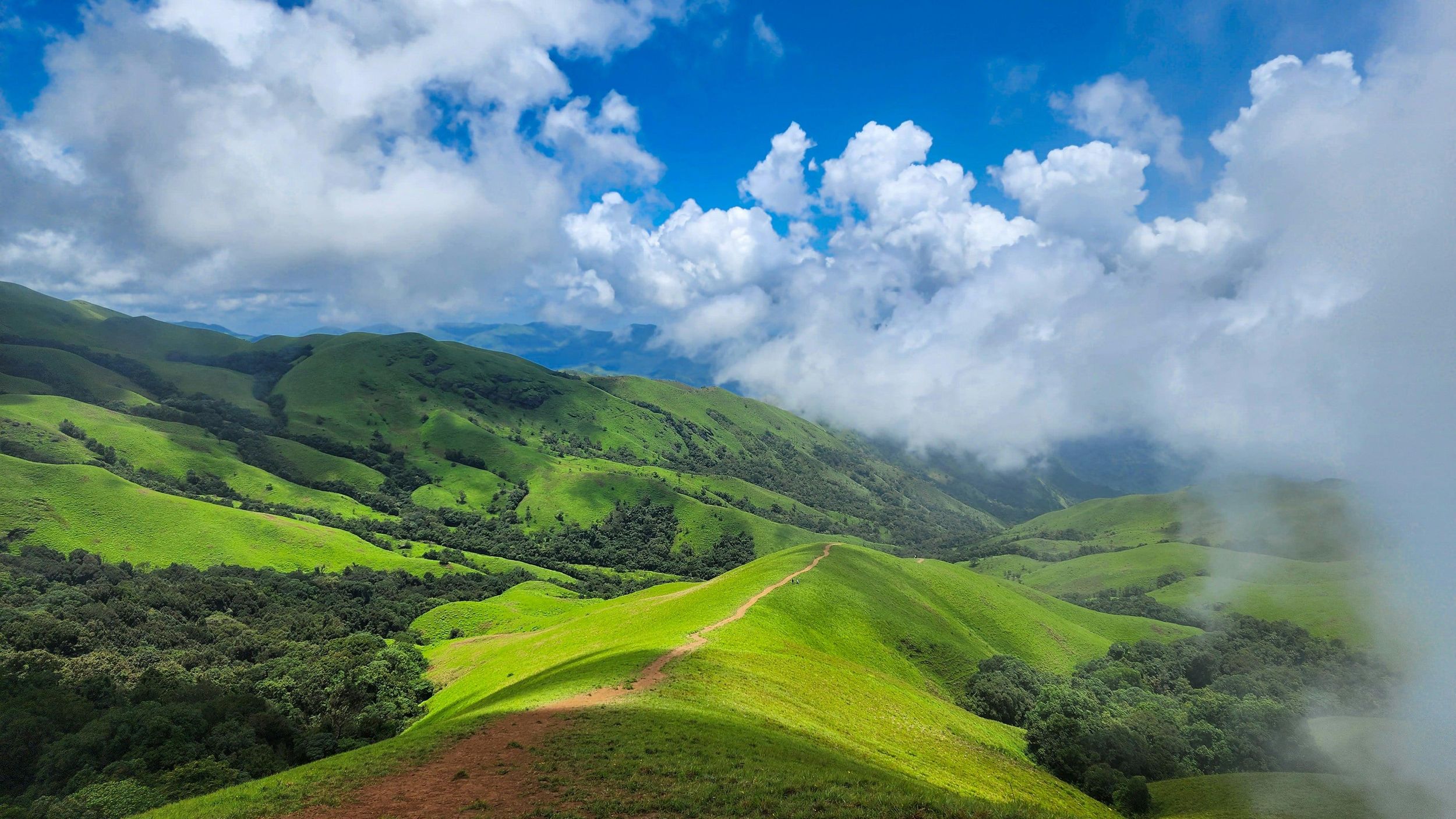 Bangalore: Private Tour zur Kaffeeplantage Chikmagalur