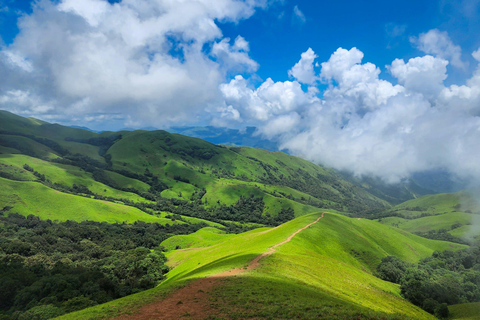 Bangalore: Chikmagalur Coffee Plantation Private Tour