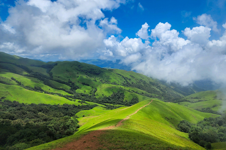 Bangalore: Chikmagalur Coffee Plantation Private Tour