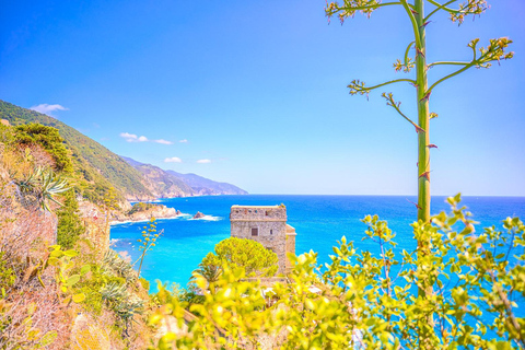 Florence : Excursion d&#039;une journée aux Cinque Terre et à Pise