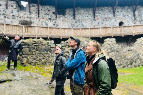 Da Helsinki: Rovine del castello di Raasepori e centro storico di Ekenäs