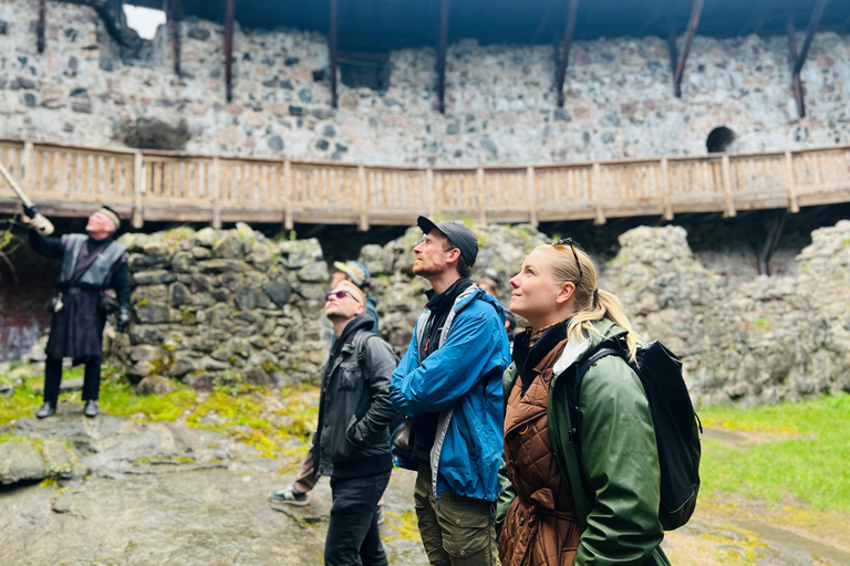 Da Helsinki: Rovine del castello di Raasepori e centro storico di Ekenäs