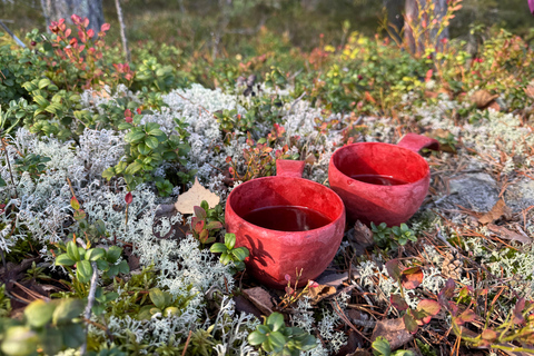Helsinki: Nuuksio National Park Hike with Lunch & Pickup