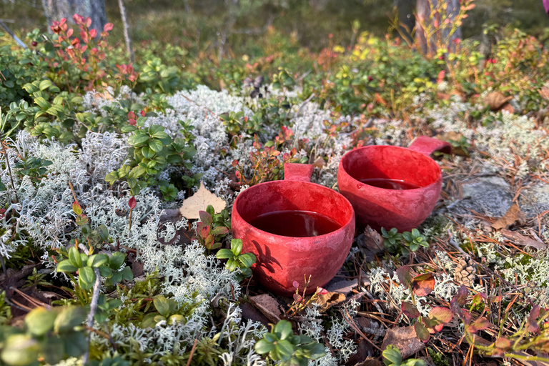 Helsinki: Nuuksio National Park Hike with Lunch & Pickup