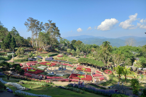 Chiang Rai: Mountains Discovery Doi Mae Salong & Doi Tung Mountains Discovery:Doi Mae Salong & Doi Tung (Private Tour)