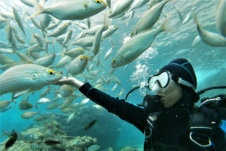 Kemer Scuba Diving med expertdykning som tillvalDykning i Kemer med möte i hamnen