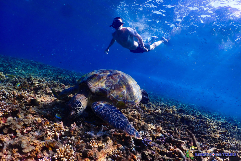 Koh Tao: Excursão de um dia com mergulho com snorkel nas ilhas e almoçoKoh Tao: Ilhas Snorkeling Destaques Day Tour &amp; Almoço