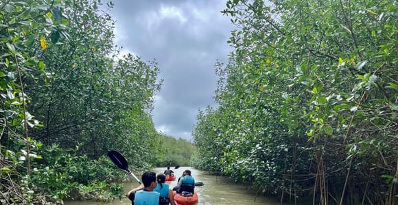Manuel Antonio: Mangrove Kayaking Tours on Isla Damas