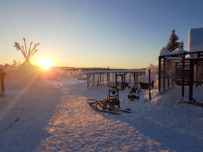 Kiruna Aurora Midnight Session with BBQ and snowshoe hike GetYourGuide