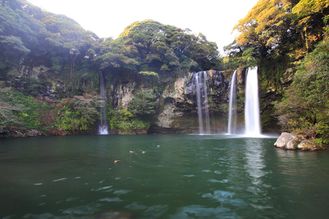 Jeju: Mt. Randonnée nature en petit groupe de Hallasan et déjeuner