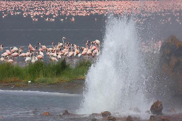 De Nairóbi: Safári de 2 dias no Lago Bogoria e no Lago Nakuru