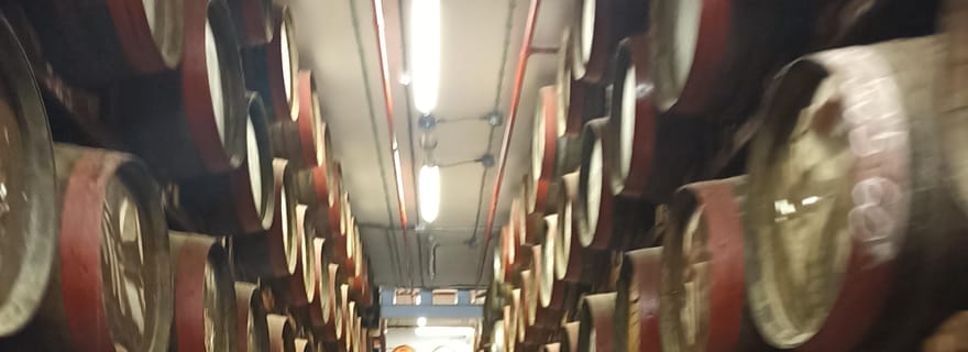 Excursion à terre à Grande Canarie : dégustation de rhum et villages pittoresques