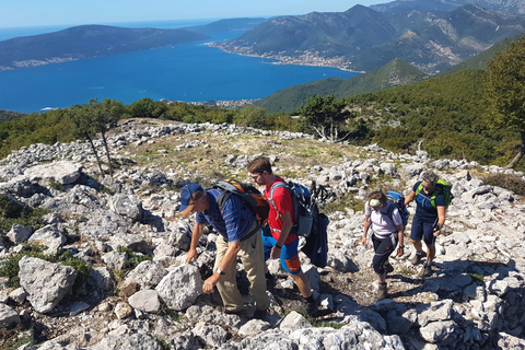 Hiking Vrmac peninsula with panoramic view on Kotor bay