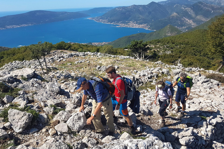 Hiking Vrmac peninsula with panoramic view on Kotor bay