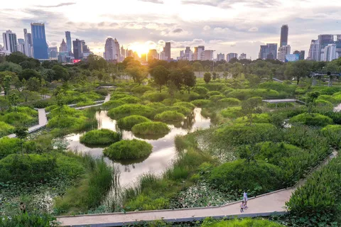 Bangkok Cykeludlejning Benjakitti Park